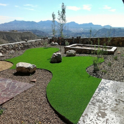 Fake Grass Carpet Red Rock, Arizona Pet Grass, Backyard Garden Ideas