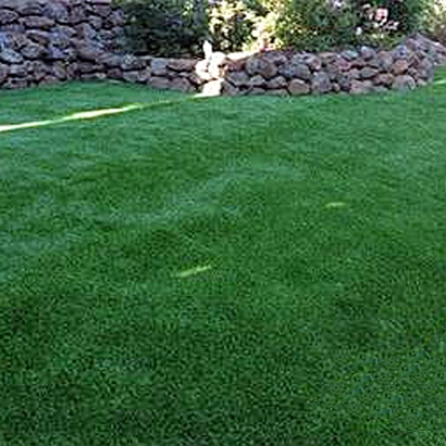 Fake Grass Comobabi, Arizona City Landscape, Small Backyard Ideas