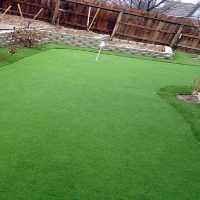 Fake Grass New River, Arizona Roof Top, Backyard Landscaping