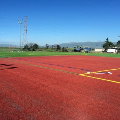 Fake Grass Payson, Arizona Red Turf