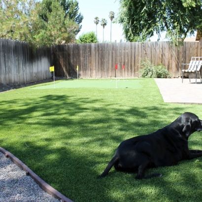 Fake Grass Taylor, Arizona Backyard Putting Green, Small Backyard Ideas