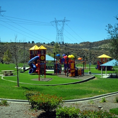 Fake Grass Wenden, Arizona Indoor Playground, Recreational Areas
