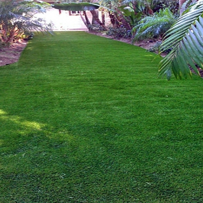 Fake Lawn Central Heights-Midland City, Arizona Home And Garden, Backyard Design