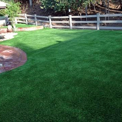 Fake Lawn Florence, Arizona City Landscape, Small Backyard Ideas