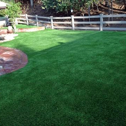 Fake Lawn Florence, Arizona City Landscape, Small Backyard Ideas