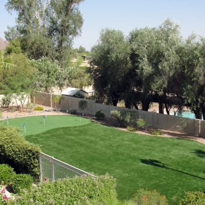 Fake Lawn Pinedale, Arizona Landscape Ideas, Backyard Designs