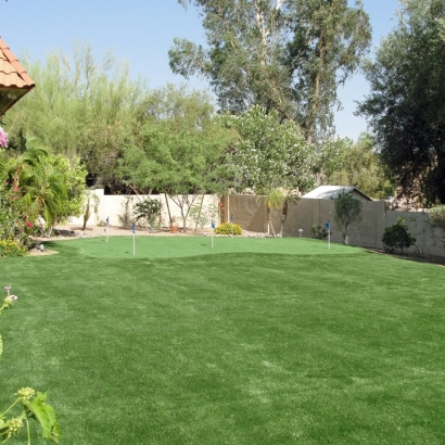Fake Lawn Pinedale, Arizona Landscape Ideas, Backyard Designs