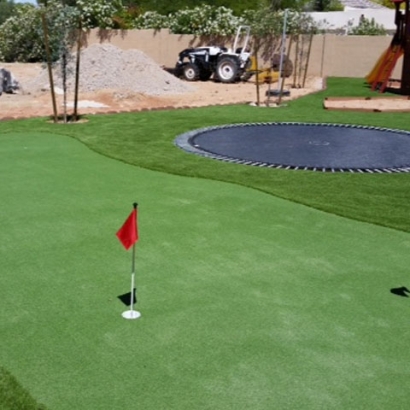 Faux Grass Catalina, Arizona How To Build A Putting Green, Backyards