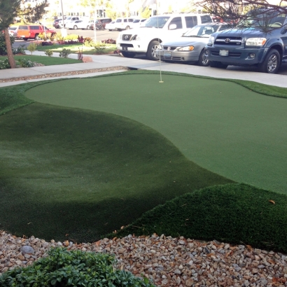 Grass Carpet Aguila, Arizona Diy Putting Green, Commercial Landscape