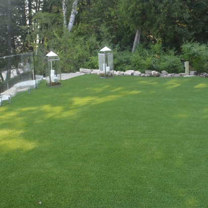 Grass Carpet Campo Bonito, Arizona Garden Ideas, Backyard Garden Ideas