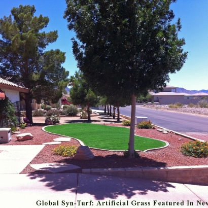 Grass Carpet Littletown, Arizona Landscape Design, Landscaping Ideas For Front Yard