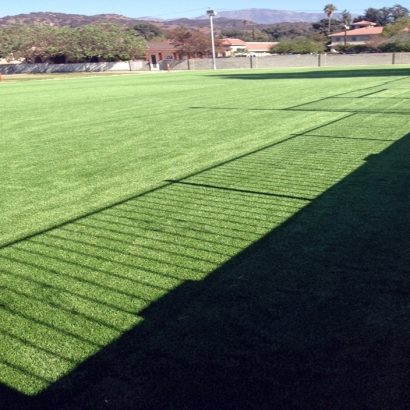 Grass Carpet Patagonia, Arizona Home And Garden