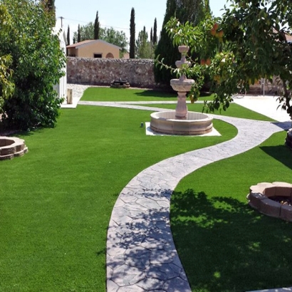 Grass Carpet Pimaco Two, Arizona Landscaping Business, Backyard
