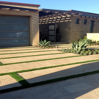 Grass Carpet Tubac, Arizona Rooftop, Front Yard Ideas
