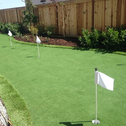 Grass Turf New River, Arizona Putting Green Carpet, Backyard