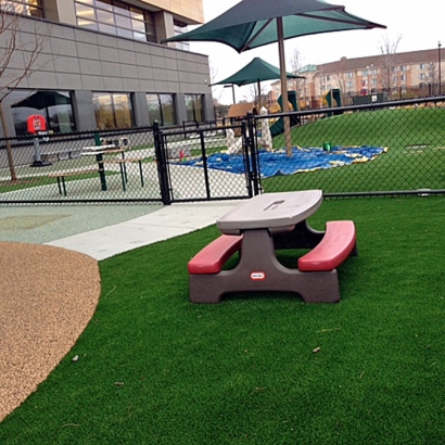 Green Lawn Cactus Forest, Arizona Playground Flooring, Commercial Landscape