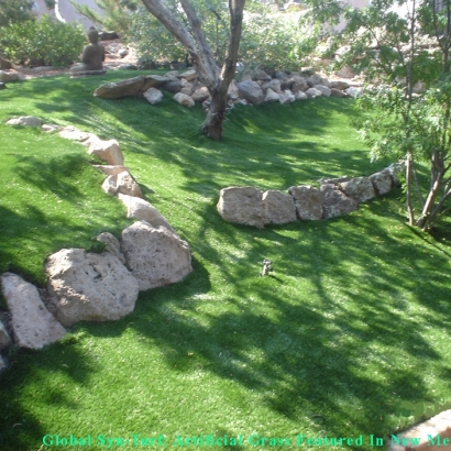 Green Lawn Tucson Estates, Arizona Roof Top, Commercial Landscape