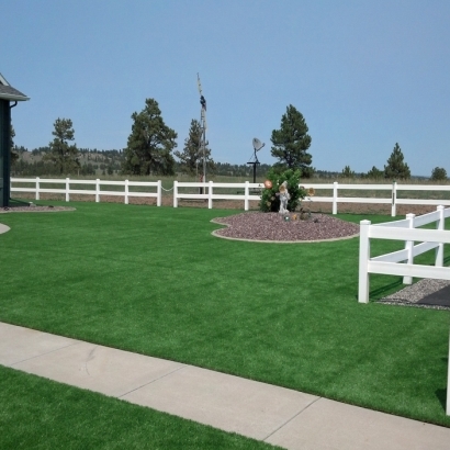 Installing Artificial Grass Arivaca Junction, Arizona City Landscape, Backyard Ideas