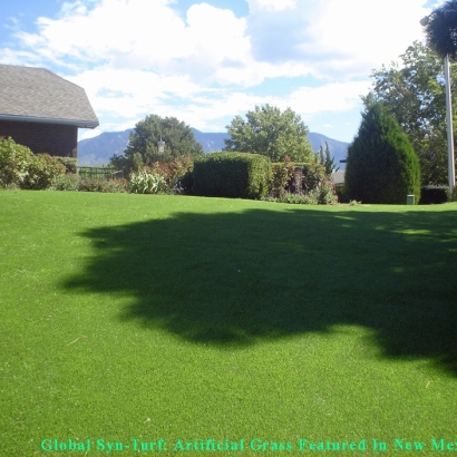Lawn Services Drexel Heights, Arizona Artificial Turf For Dogs, Backyard Designs