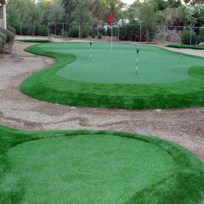 Outdoor Carpet Arivaca Junction, Arizona Putting Green, Backyard Makeover