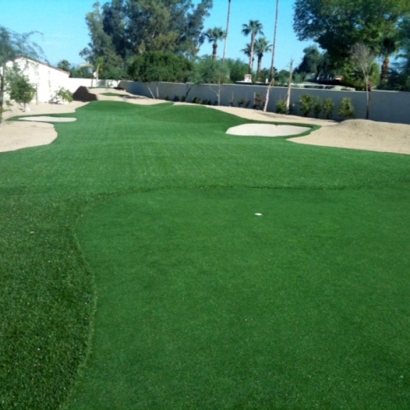 Outdoor Carpet Casas Adobes, Arizona Gardeners