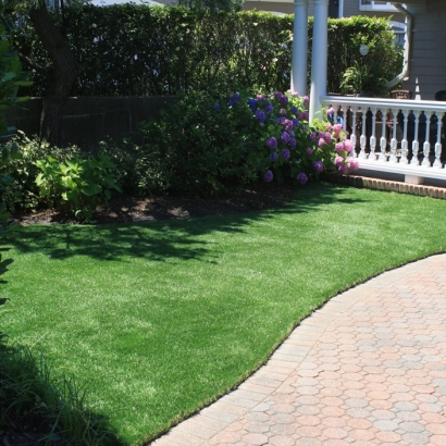 Outdoor Carpet Pine, Arizona City Landscape, Front Yard