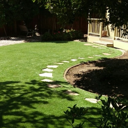 Plastic Grass Three Points, Arizona Gardeners, Backyard Ideas