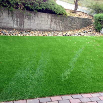 Plastic Grass Yarnell, Arizona Dog Hospital, Small Backyard Ideas