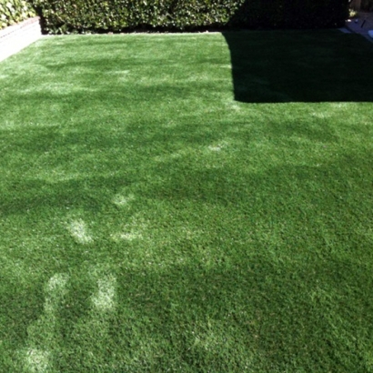Synthetic Grass Cost Camp Verde, Arizona Indoor Dog Park, Beautiful Backyards