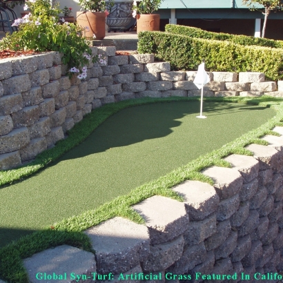 Synthetic Grass Cost Casas Adobes, Arizona Golf Green, Backyard