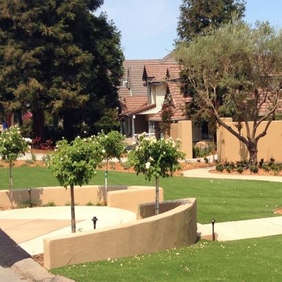 Synthetic Grass Cost Show Low, Arizona Landscape Design, Front Yard Landscape Ideas