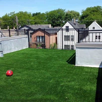 Synthetic Grass Cost Solomon, Arizona Pet Turf, Roof Top