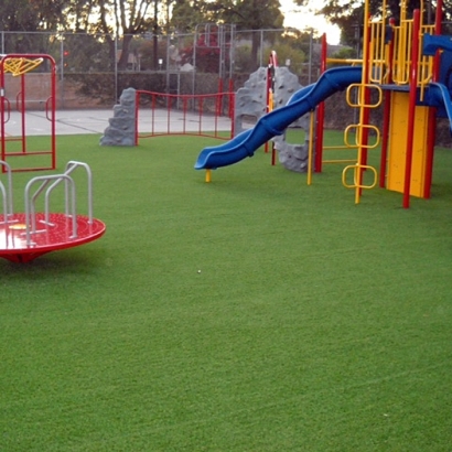 Synthetic Grass Dateland, Arizona Lawns, Parks