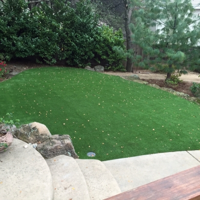 Synthetic Grass Eagar, Arizona Landscaping, Backyard Garden Ideas