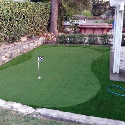 Synthetic Grass Gisela, Arizona Putting Green Carpet, Backyard Garden Ideas
