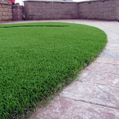 Synthetic Grass Mesa del Caballo, Arizona Pet Turf, Front Yard Landscaping Ideas