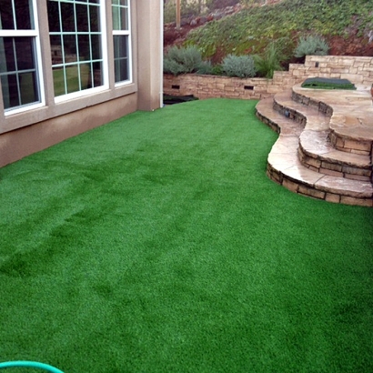 Synthetic Grass Mesa del Caballo, Arizona Landscape Photos, Backyards