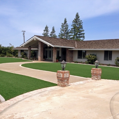 Synthetic Grass Strawberry, Arizona Lawn And Garden, Front Yard Landscaping Ideas