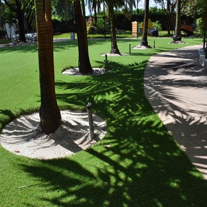 Synthetic Lawn Douglas, Arizona Watch Dogs, Commercial Landscape