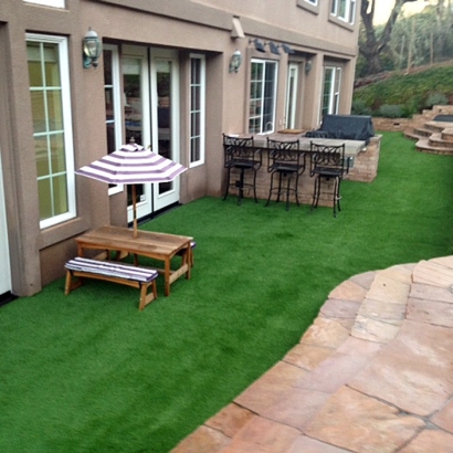 Synthetic Lawn McNary, Arizona Landscape Design, Backyard Design