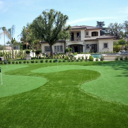 Synthetic Turf Kearny, Arizona Putting Green, Landscaping Ideas For Front Yard