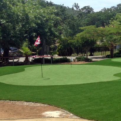 Synthetic Turf Supplier Cedar Creek, Arizona Indoor Putting Greens, Small Front Yard Landscaping