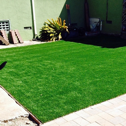 Synthetic Turf Supplier Fort Thomas, Arizona Hotel For Dogs, Small Backyard Ideas