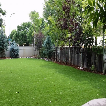 Turf Grass Clifton, Arizona Landscape Design, Backyard Design