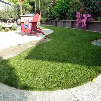 Turf Grass Yarnell, Arizona Indoor Dog Park, Backyard Designs