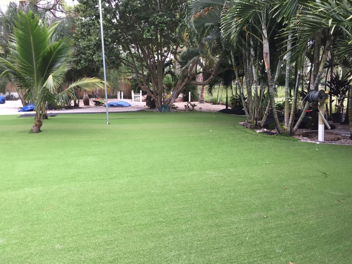 Artificial Grass Carpet Catalina Foothills, Arizona Landscape Design, Commercial Landscape