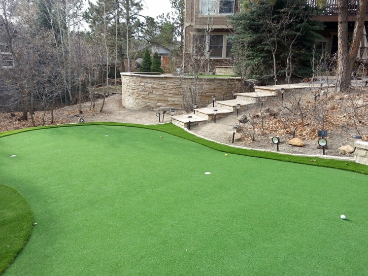 Artificial Grass Carpet Glendale, Arizona Artificial Putting Greens, Backyard Landscaping