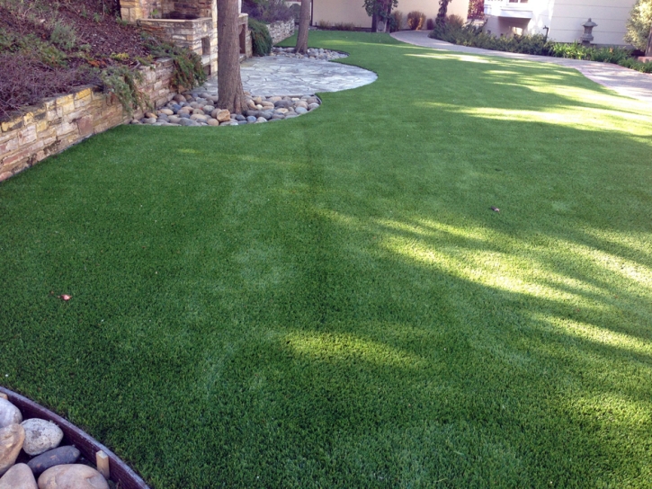 Artificial Grass Carpet Prescott Valley, Arizona Dogs, Backyard Ideas
