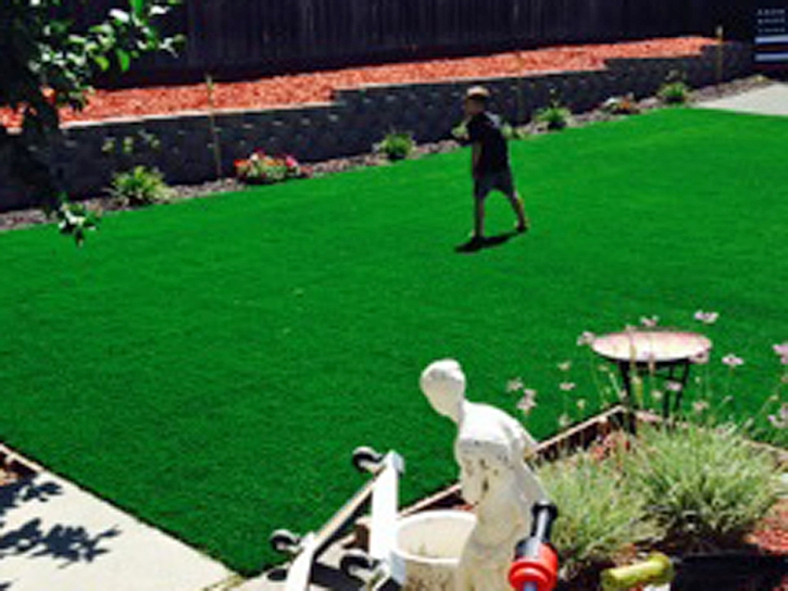 Artificial Grass Carpet Sierra Vista, Arizona Roof Top, Backyard Makeover