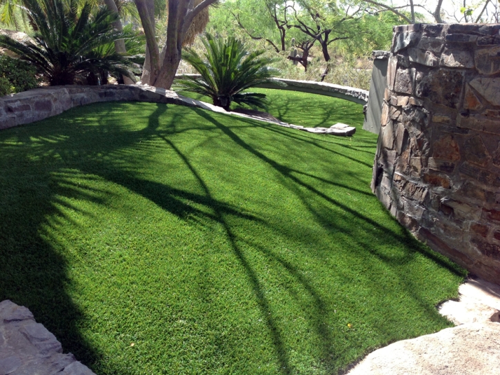 Artificial Grass Carpet Tonto Village, Arizona Landscaping